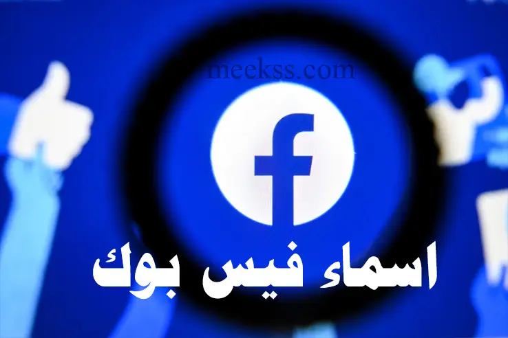 750 اسماء فيس بوك شباب بنات حلوة مزخرفة وقائمة أسماء للفيس بوك جديدة مقبولة 2024 اسامي فيسبوك