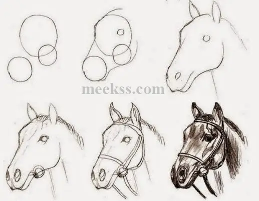 رسومات بالرصاص سهلة للمبتدئين..رسم حصان سهل