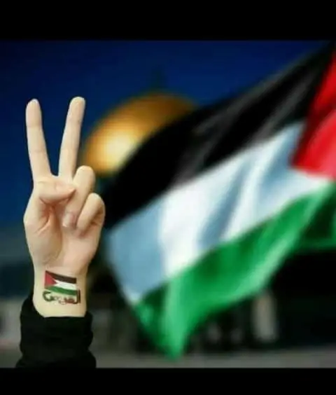 صور بروفايل فلسطين
