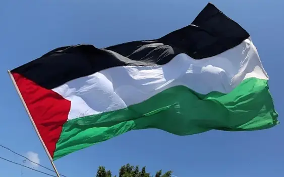 خلفية علم فلسطين