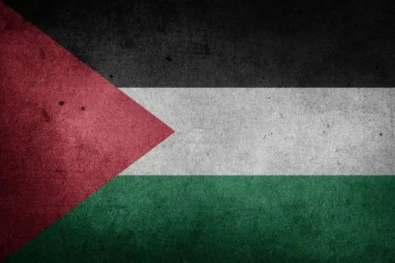 صور علم دولة فلسطين 