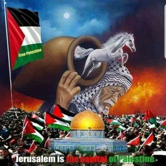 صور كلنا فلسطين